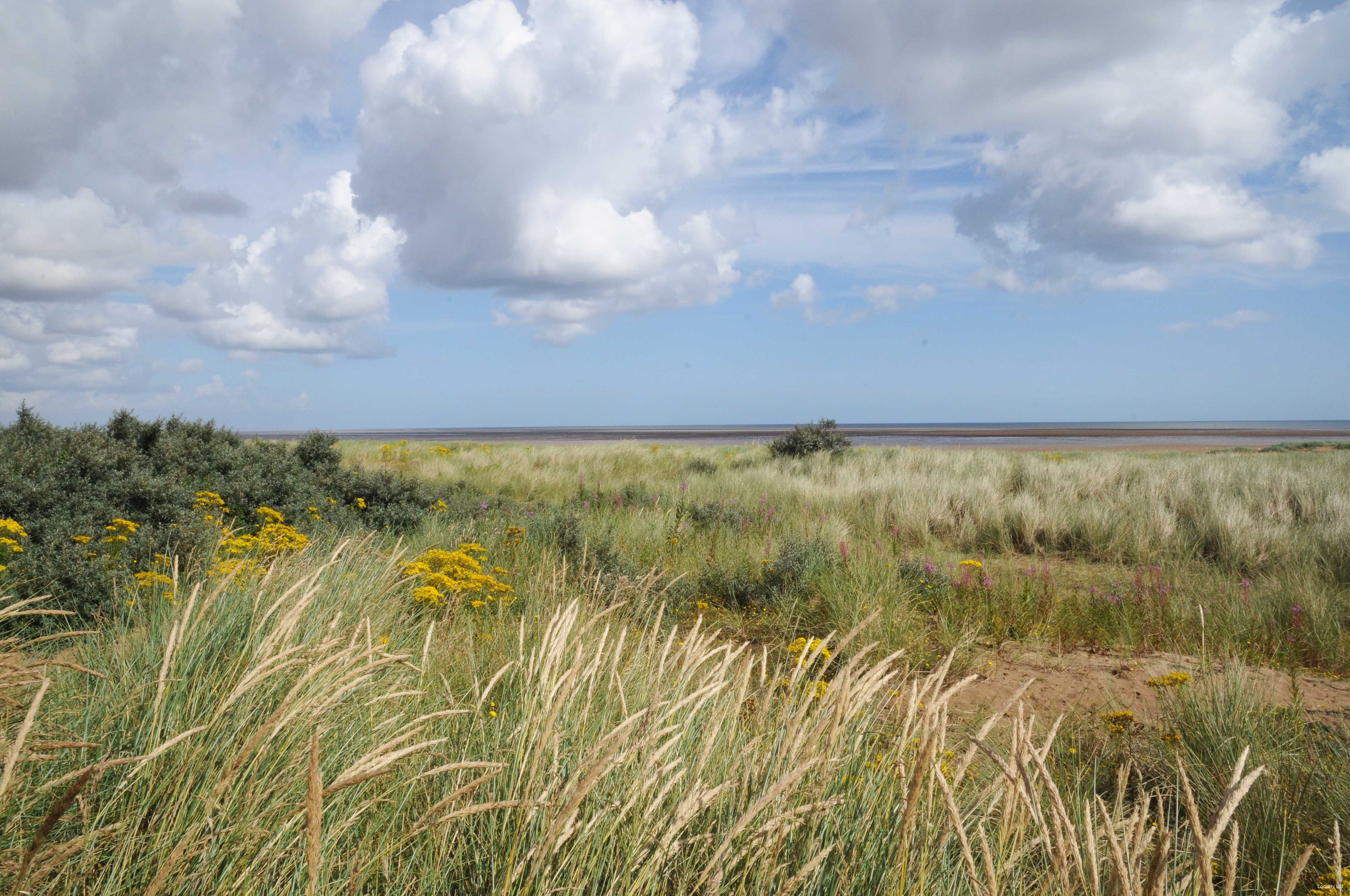 Saltfleetby - Theddlethorpe Dunes (Near Mablethorpe, Lincolnshire)
